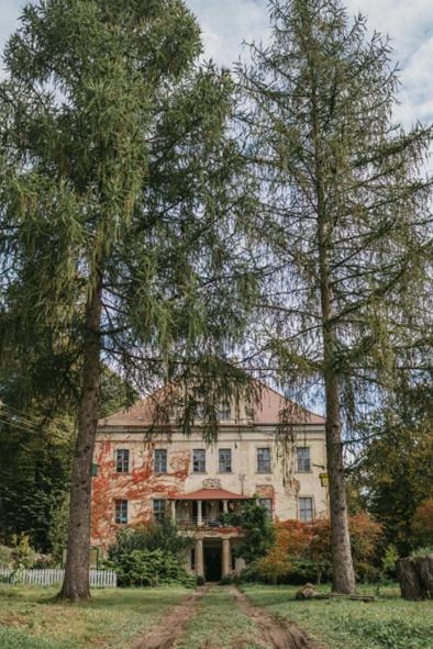 Palac Rzasiny Gryfów Śląski Exterior foto