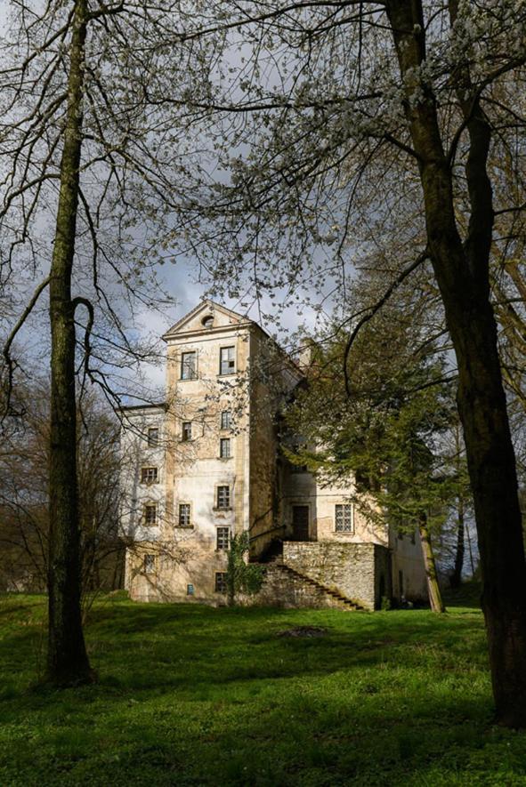 Palac Rzasiny Gryfów Śląski Exterior foto