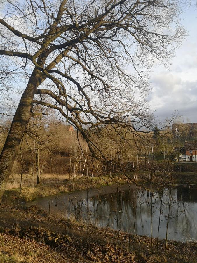 Palac Rzasiny Gryfów Śląski Exterior foto