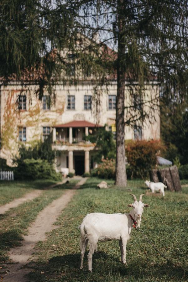 Palac Rzasiny Gryfów Śląski Exterior foto