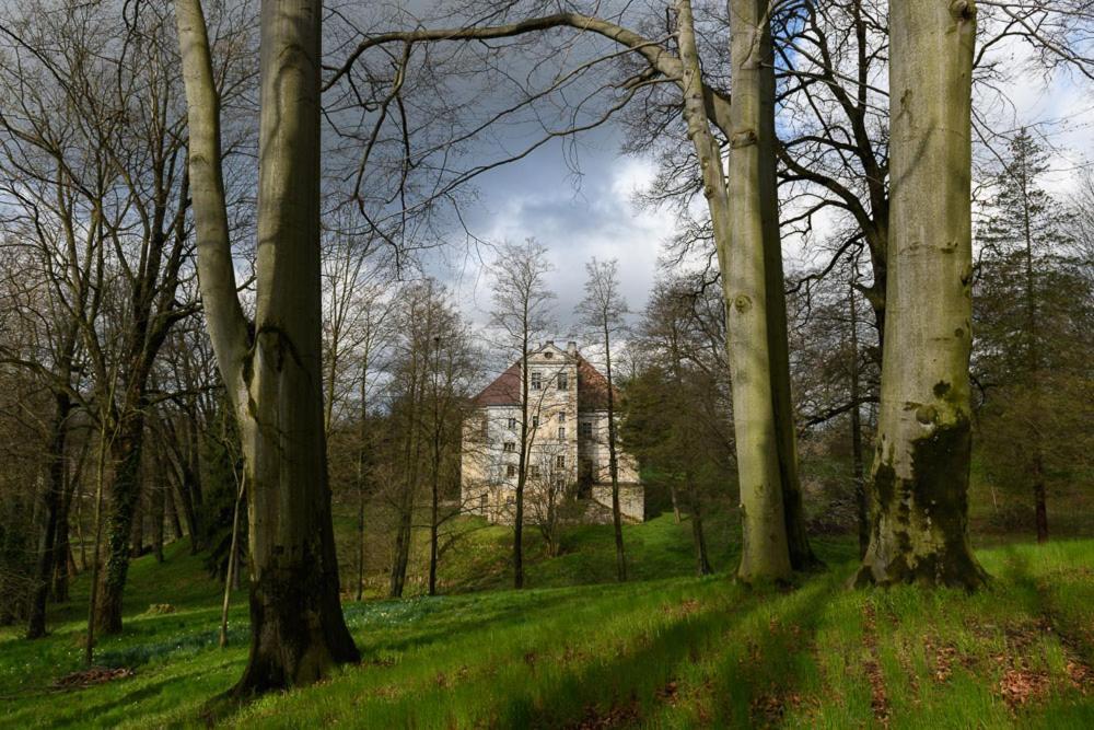 Palac Rzasiny Gryfów Śląski Exterior foto