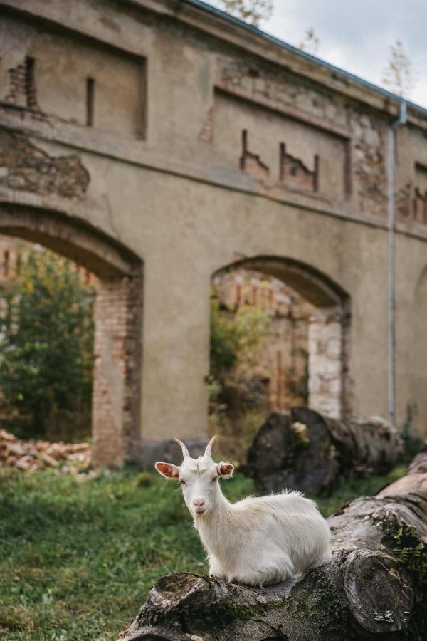 Palac Rzasiny Gryfów Śląski Exterior foto