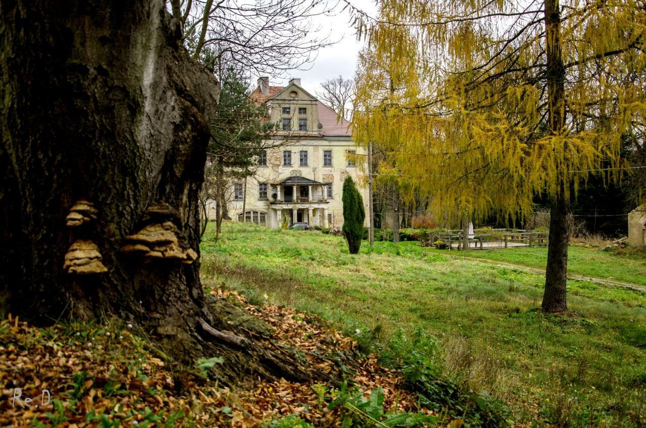Palac Rzasiny Gryfów Śląski Exterior foto