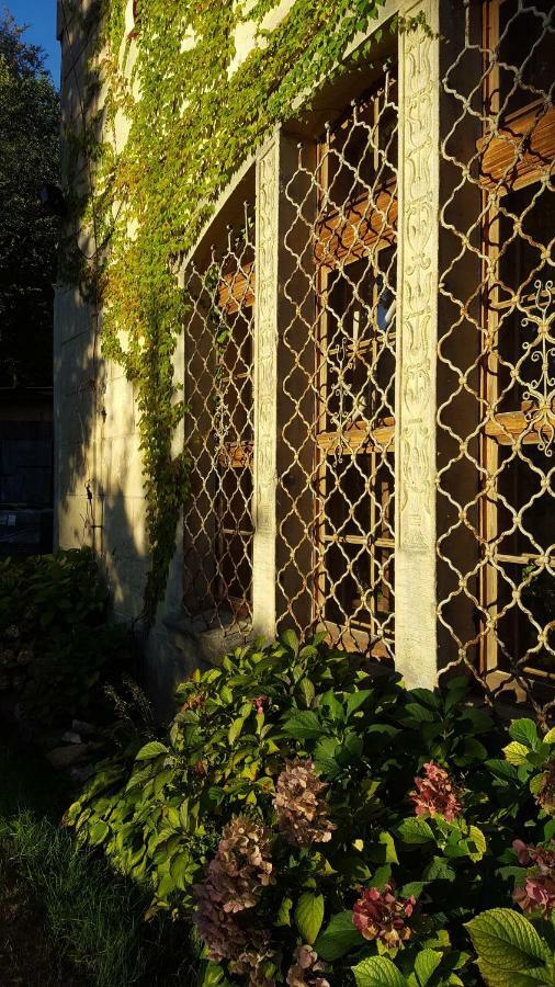 Palac Rzasiny Gryfów Śląski Exterior foto