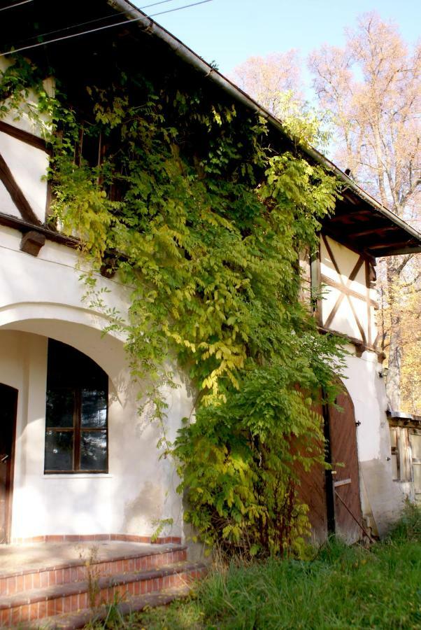 Palac Rzasiny Gryfów Śląski Exterior foto