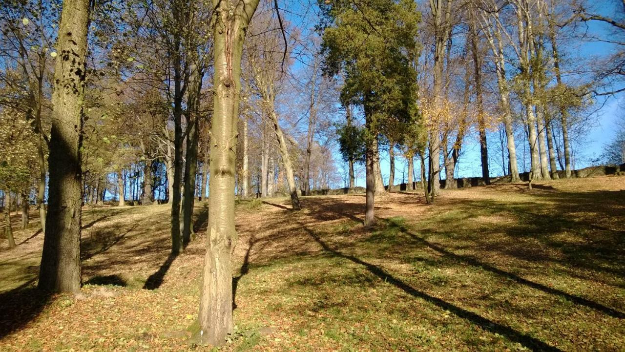 Palac Rzasiny Gryfów Śląski Exterior foto