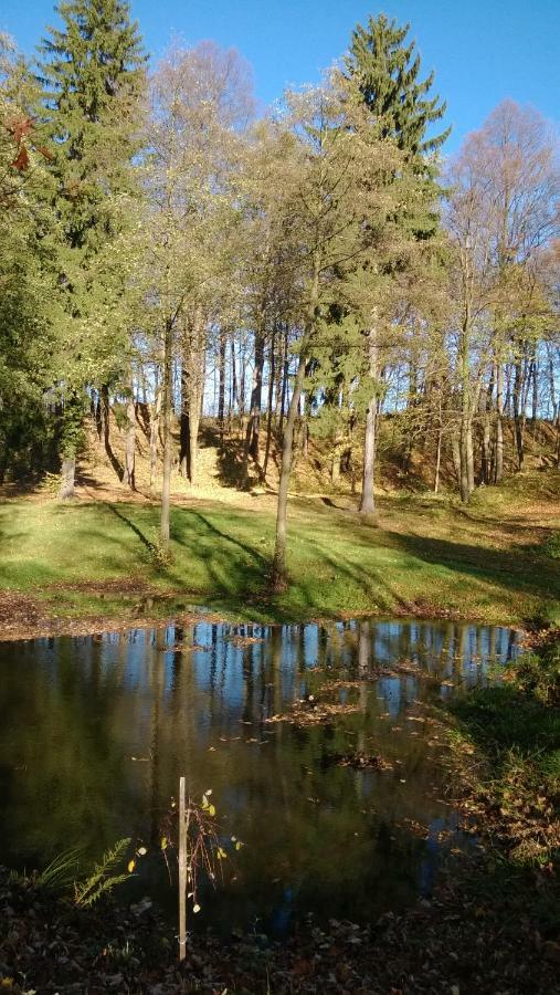 Palac Rzasiny Gryfów Śląski Exterior foto